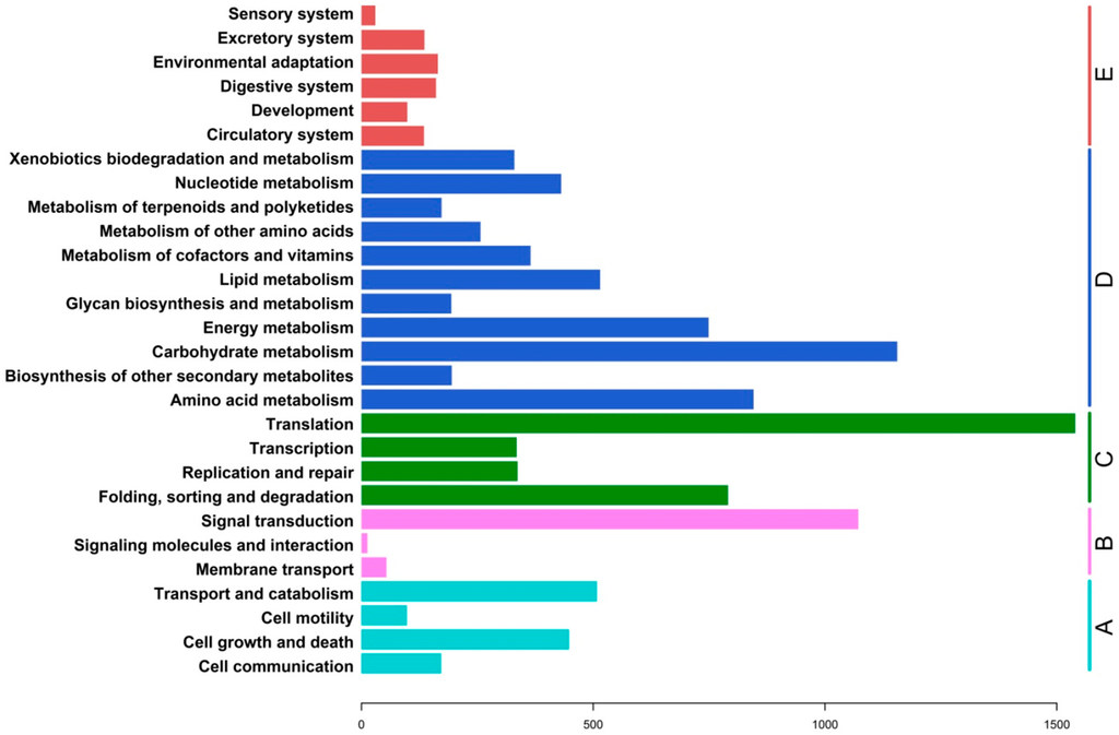 Ijms 16 03493 g005 1024