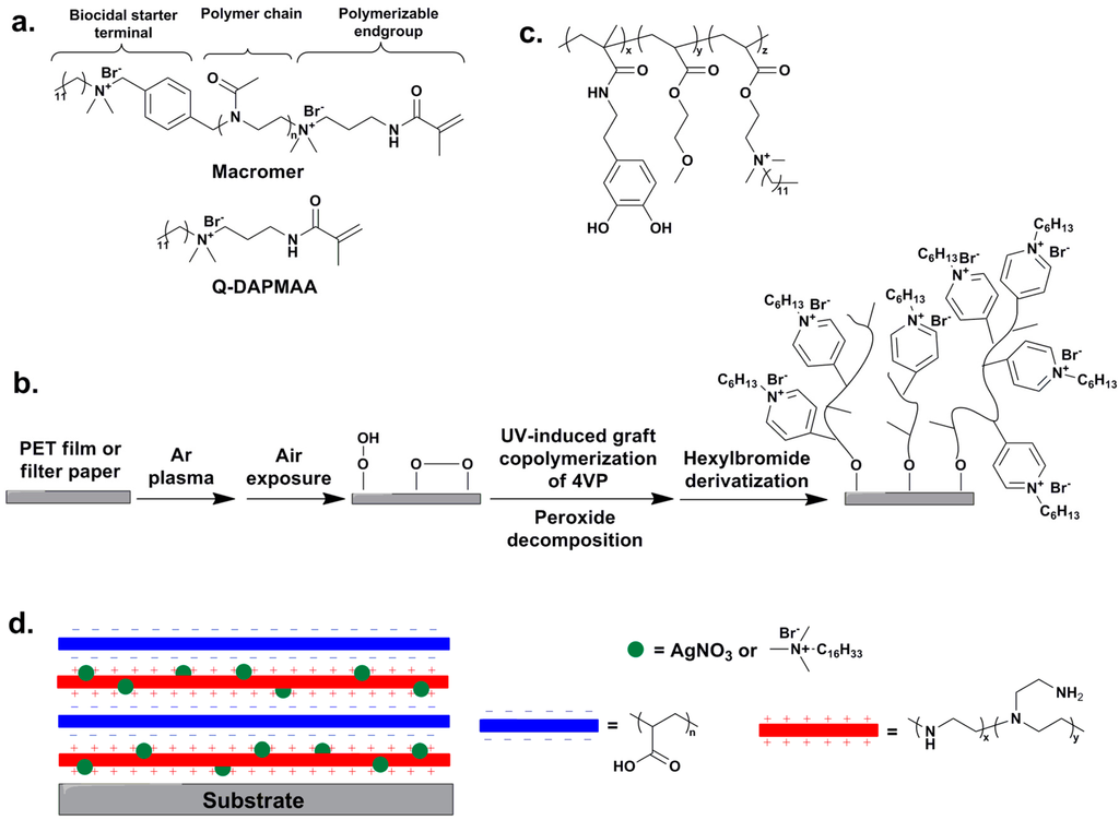 Ijms 16 03626 g005 1024