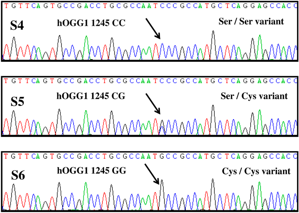Ijms 16 03757 g001 1024
