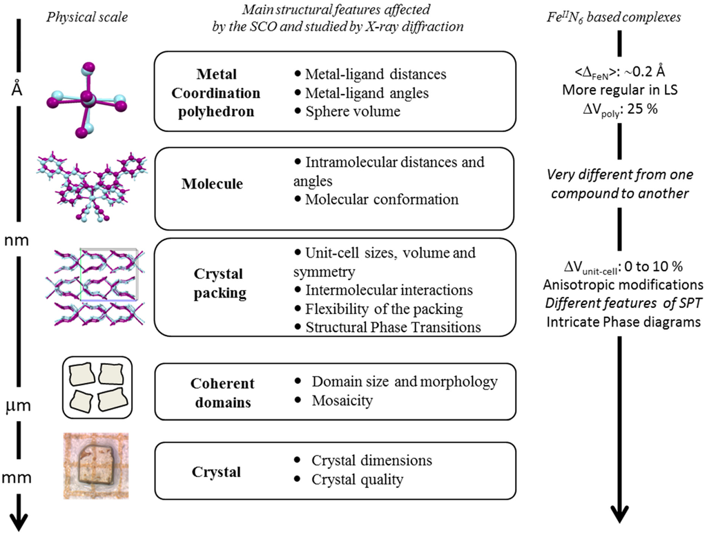 Ijms 16 04007 g011 1024