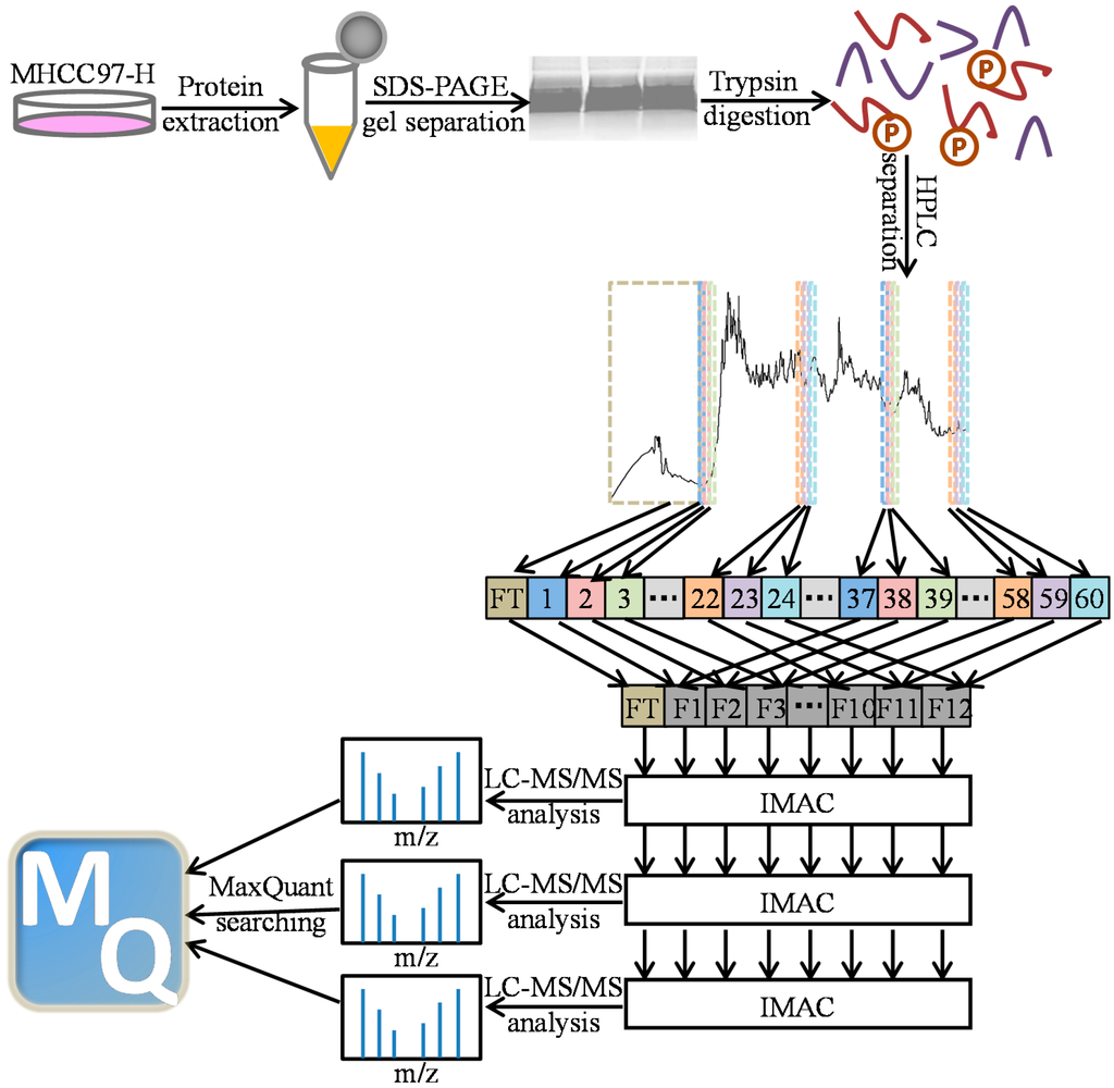 Ijms 16 04209 g001 1024