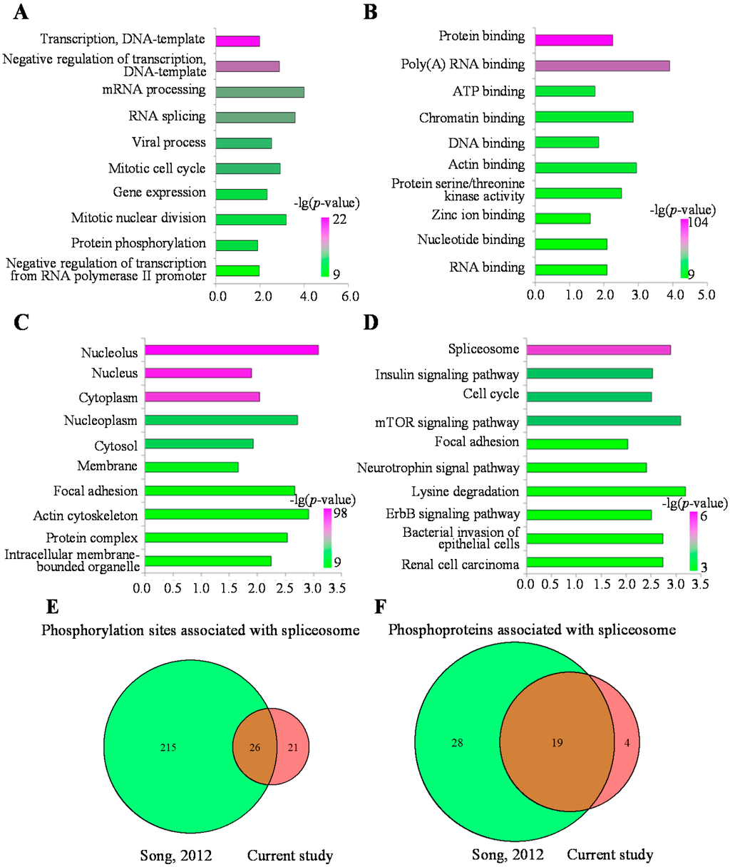 Ijms 16 04209 g005 1024
