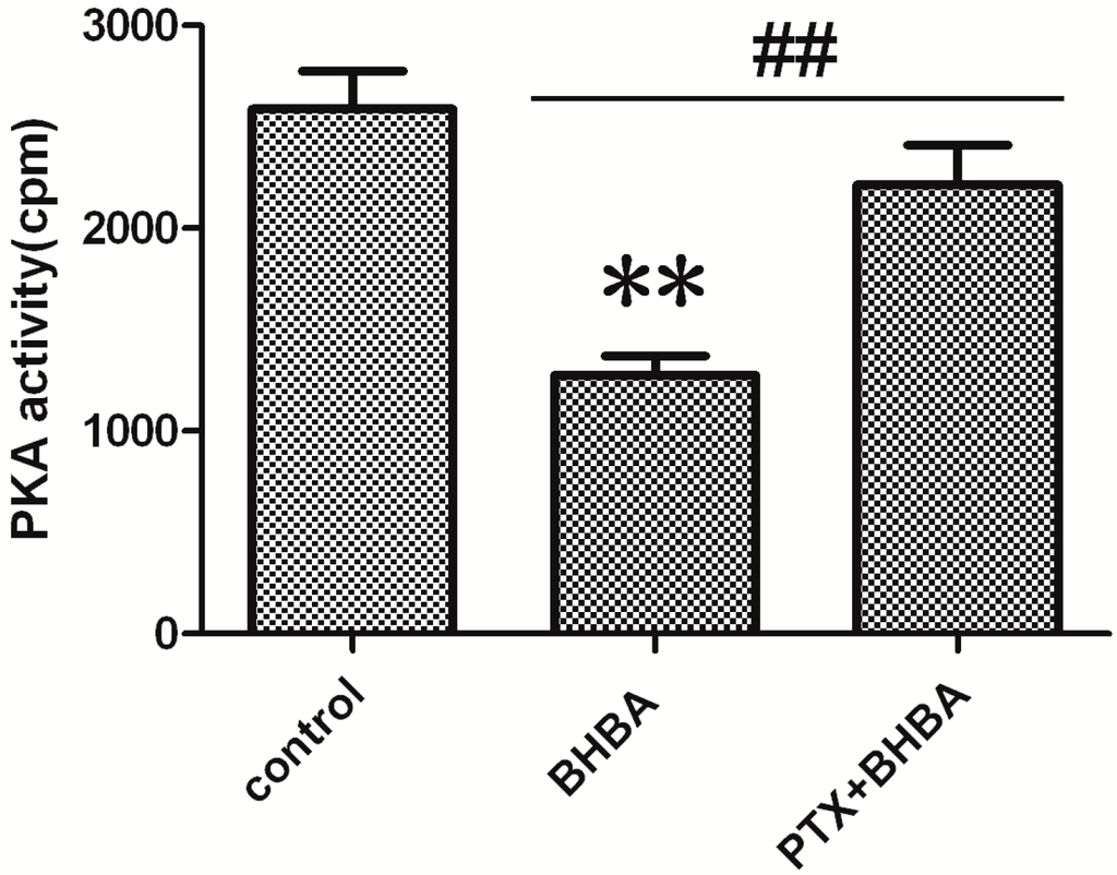 Ijms 16 04265 g004 1024