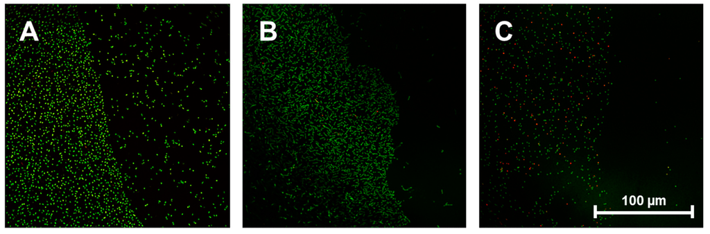 Ijms 16 04327 g004 1024