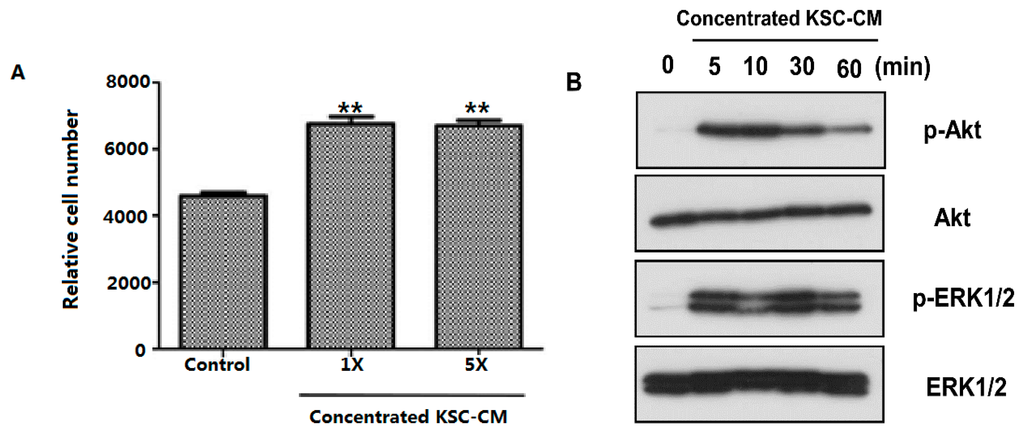 Ijms 16 04379 g001a 1024