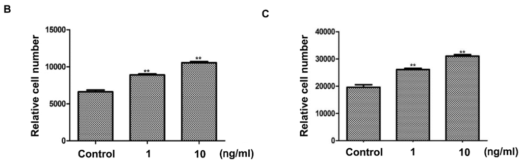 Ijms 16 04379 g006b 1024