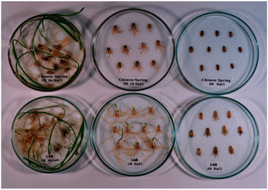 Ijms 16 04512 g001 1024