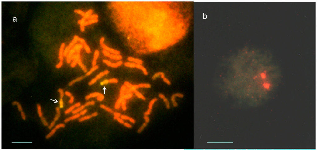 Ijms 16 04512 g002 1024