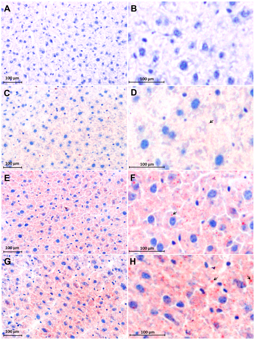 Ijms 16 04682 g003 1024