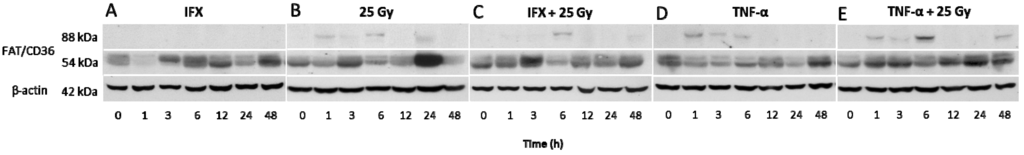 Ijms 16 04682 g004 1024