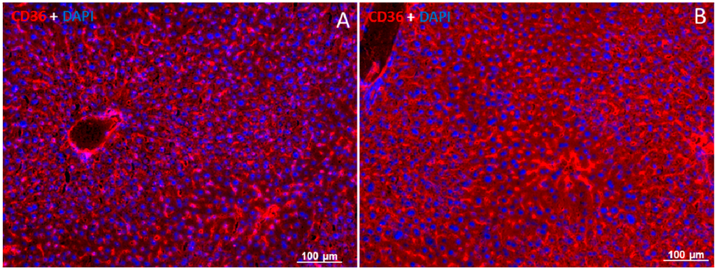 Ijms 16 04682 g006 1024