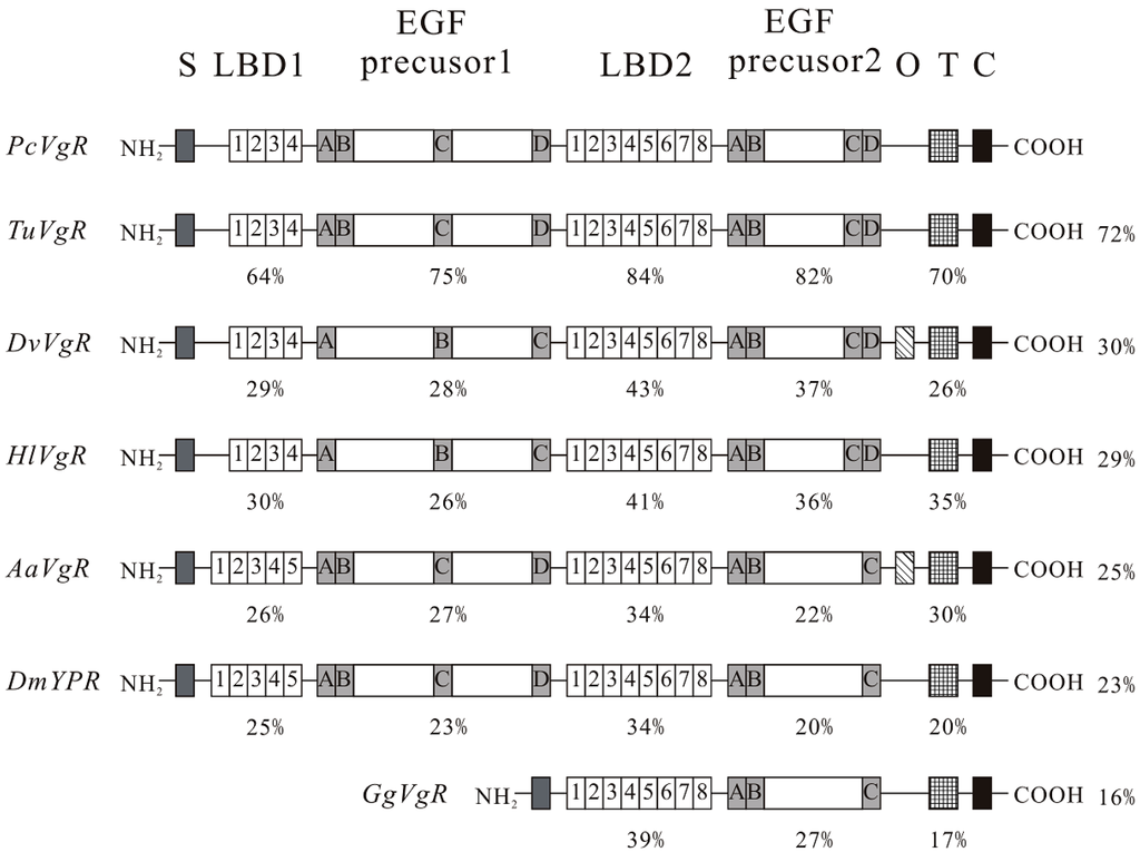 Ijms 16 04759 g002 1024