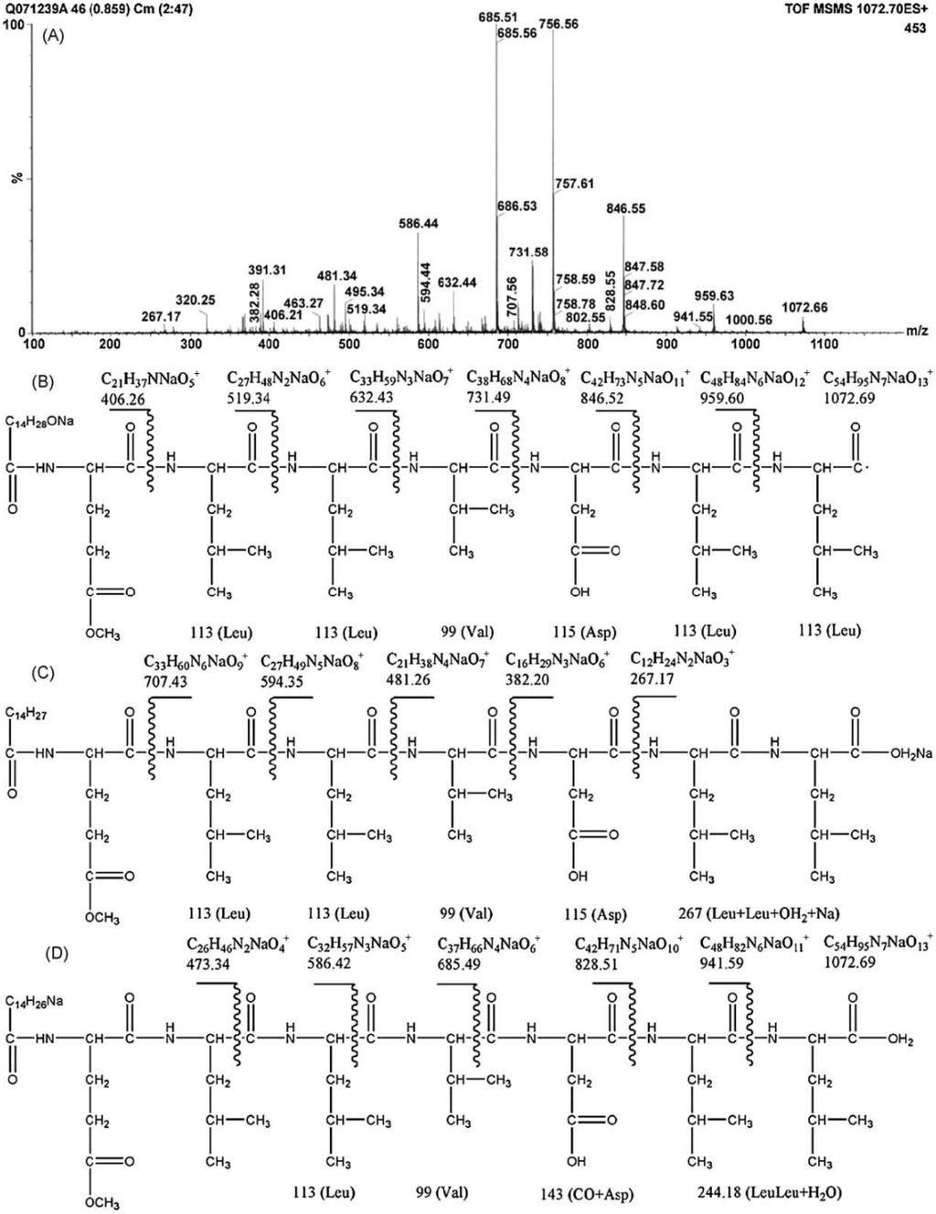 Ijms 16 04814 g001 1024