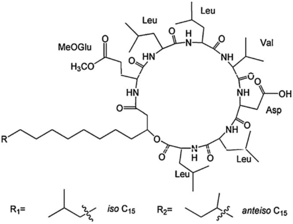 Ijms 16 04814 g002 1024