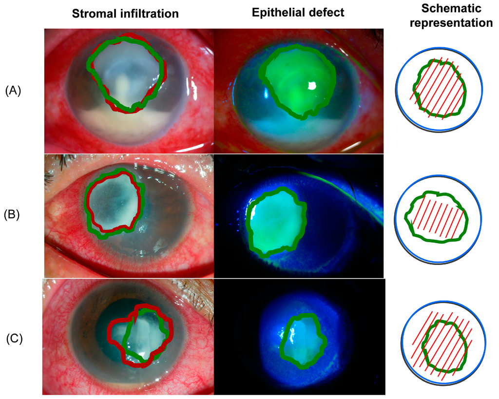 Ijms 16 04850 g001 1024