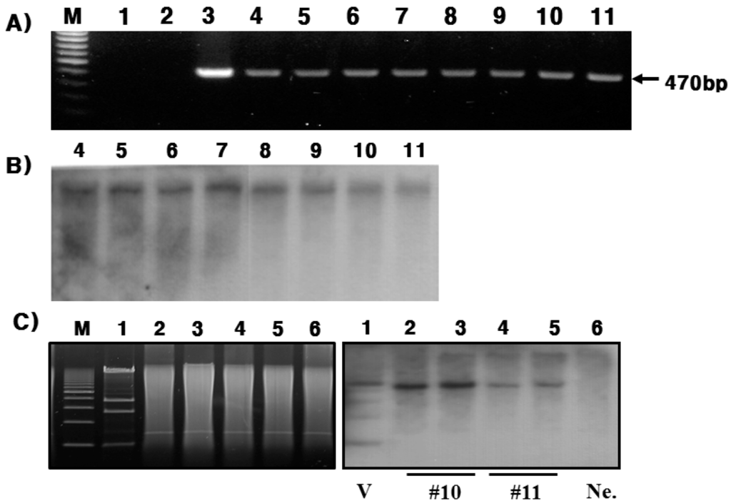 Ijms 16 04904 g002 1024