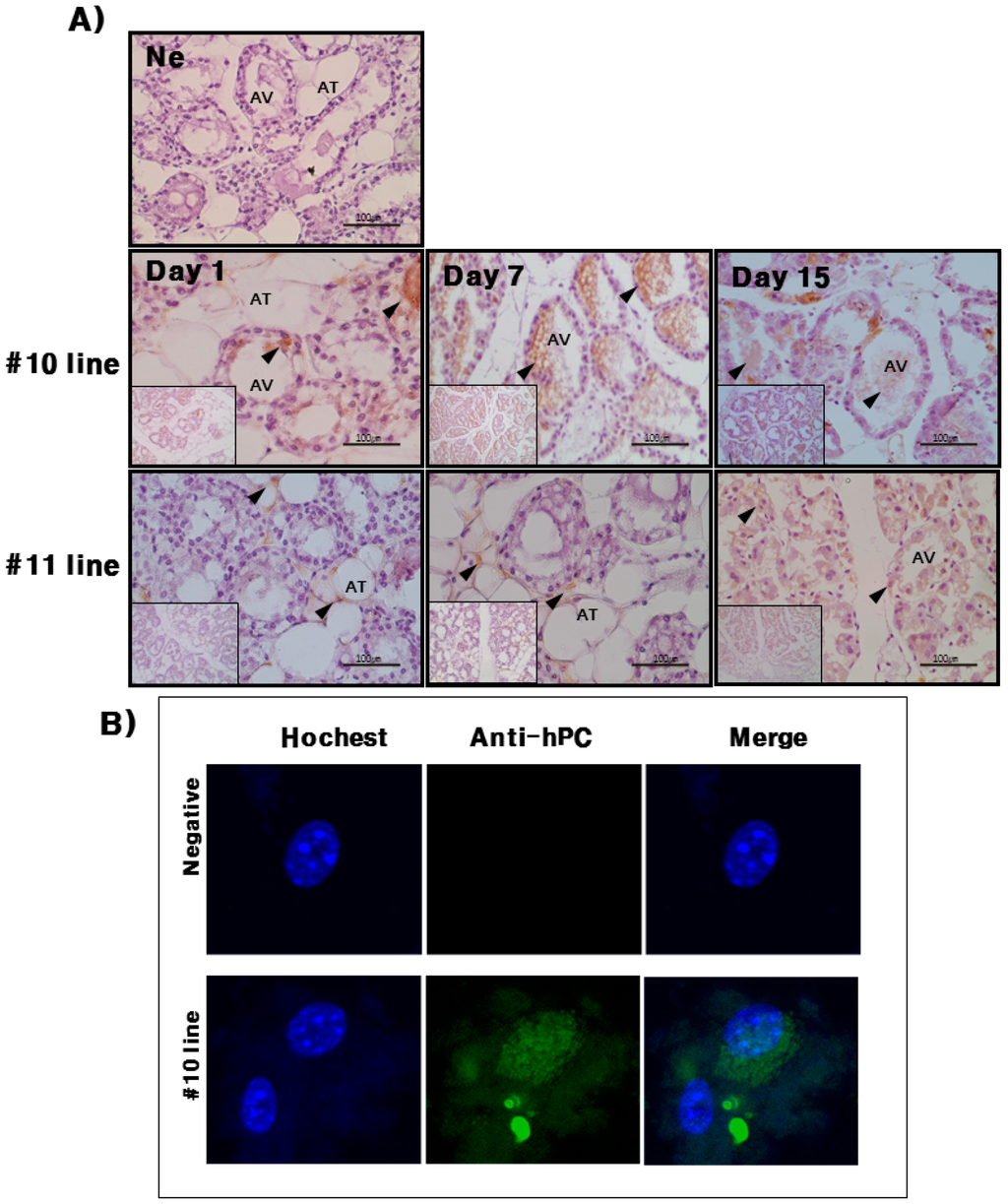 Ijms 16 04904 g005 1024