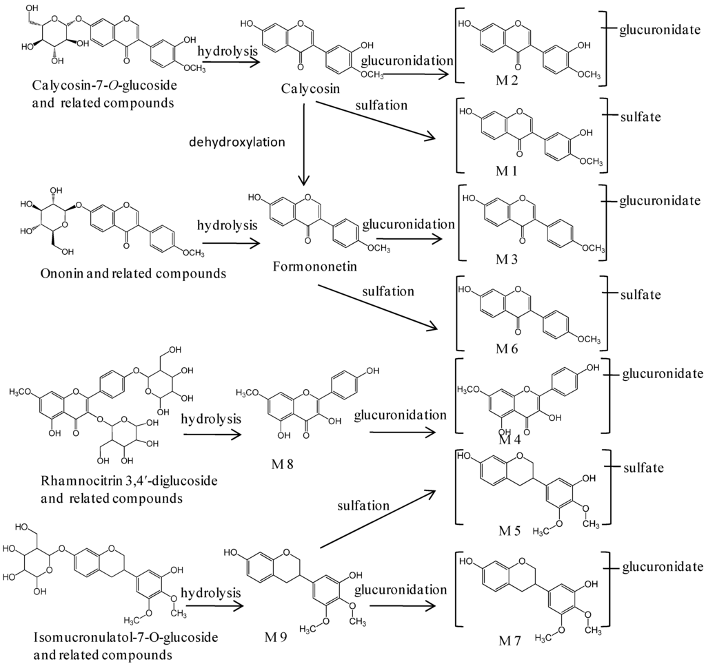 Ijms 16 05047 g003 1024