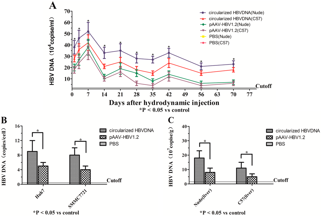 Ijms 16 05141 g002a 1024
