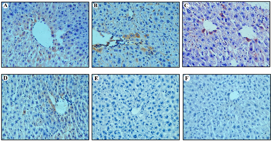 Ijms 16 05141 g006 1024