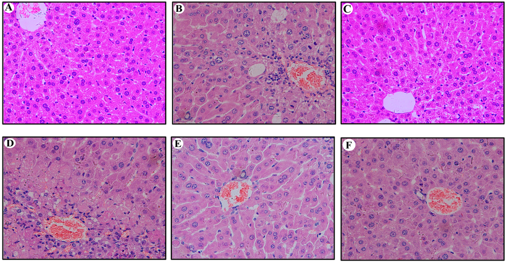 Ijms 16 05141 g007 1024