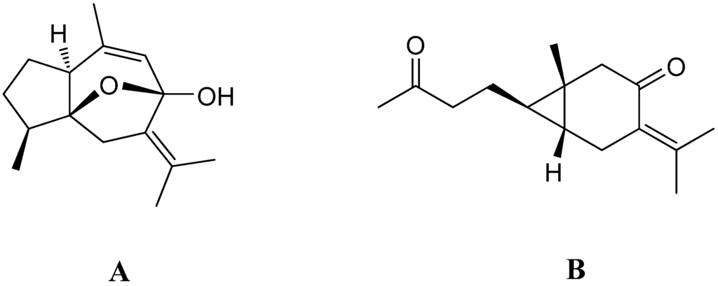 Ijms 16 05180 g001 1024