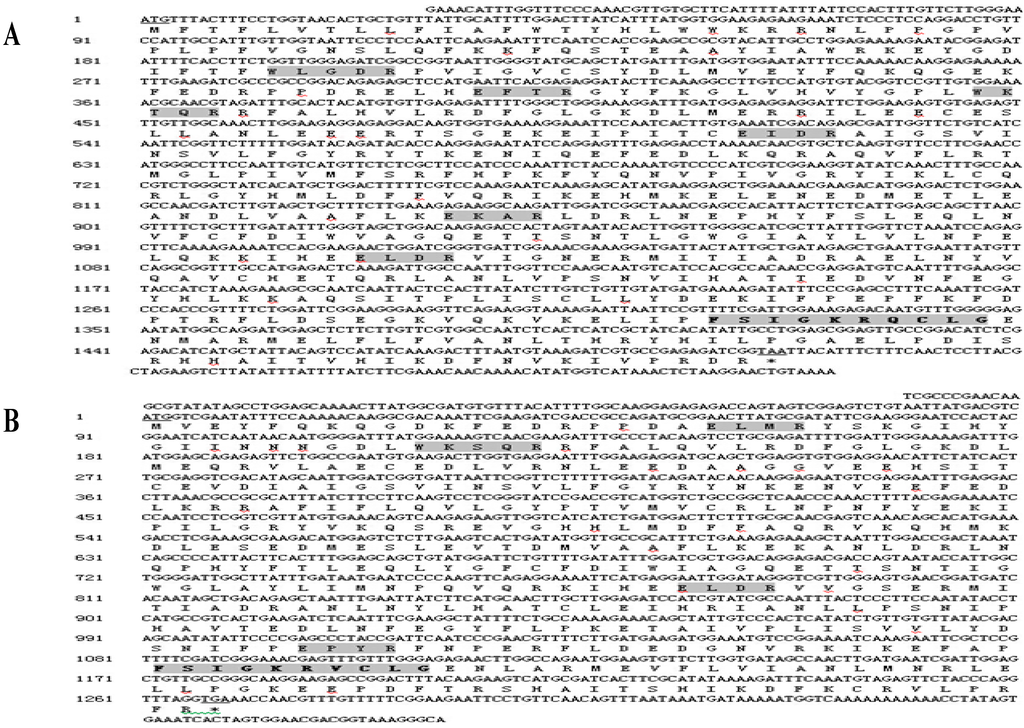 Ijms 16 05216 g001a 1024