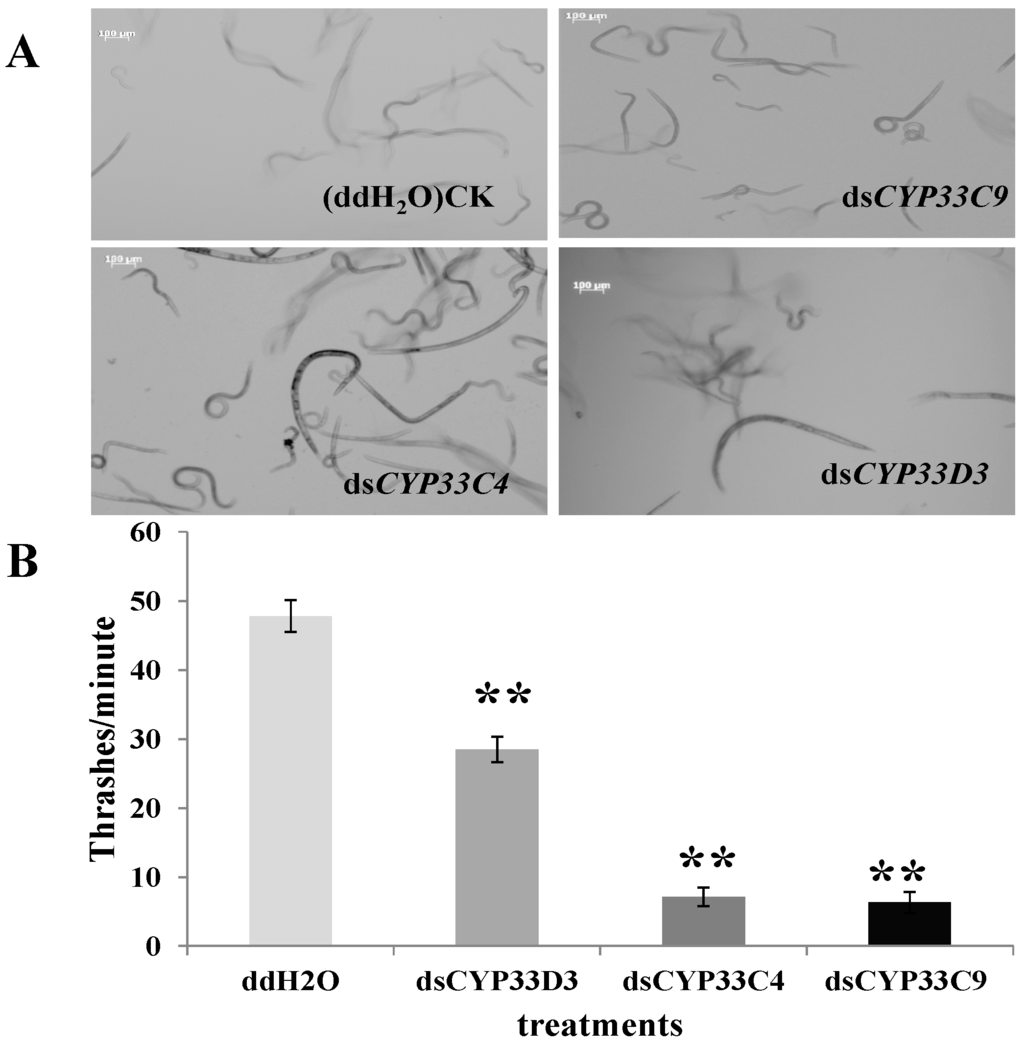 Ijms 16 05216 g004 1024