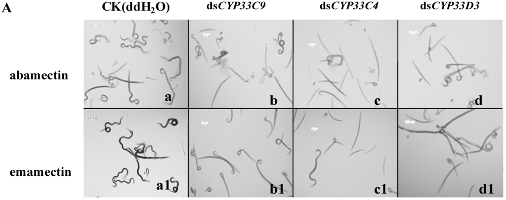 Ijms 16 05216 g007a 1024