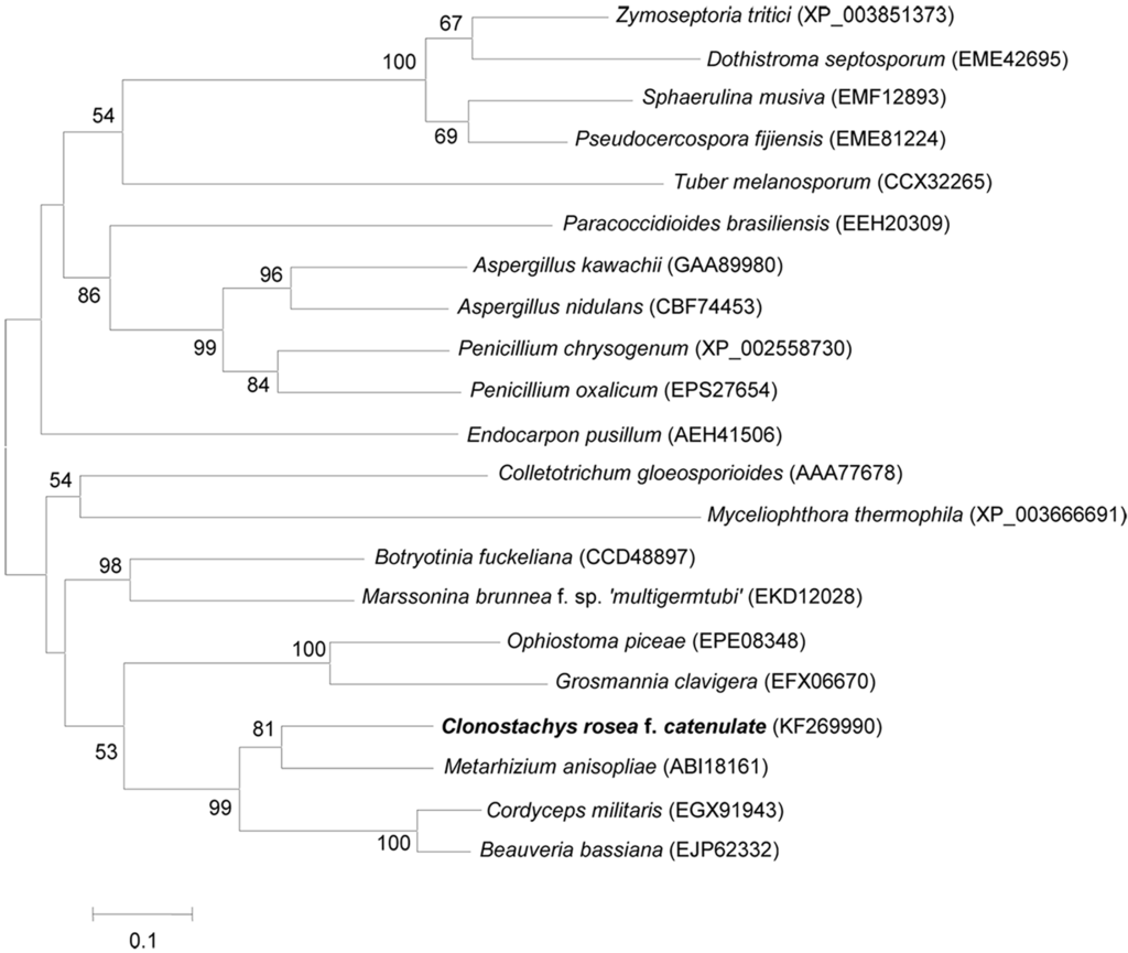 Ijms 16 05347 g002 1024