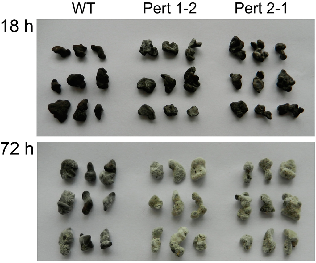 Ijms 16 05347 g003 1024