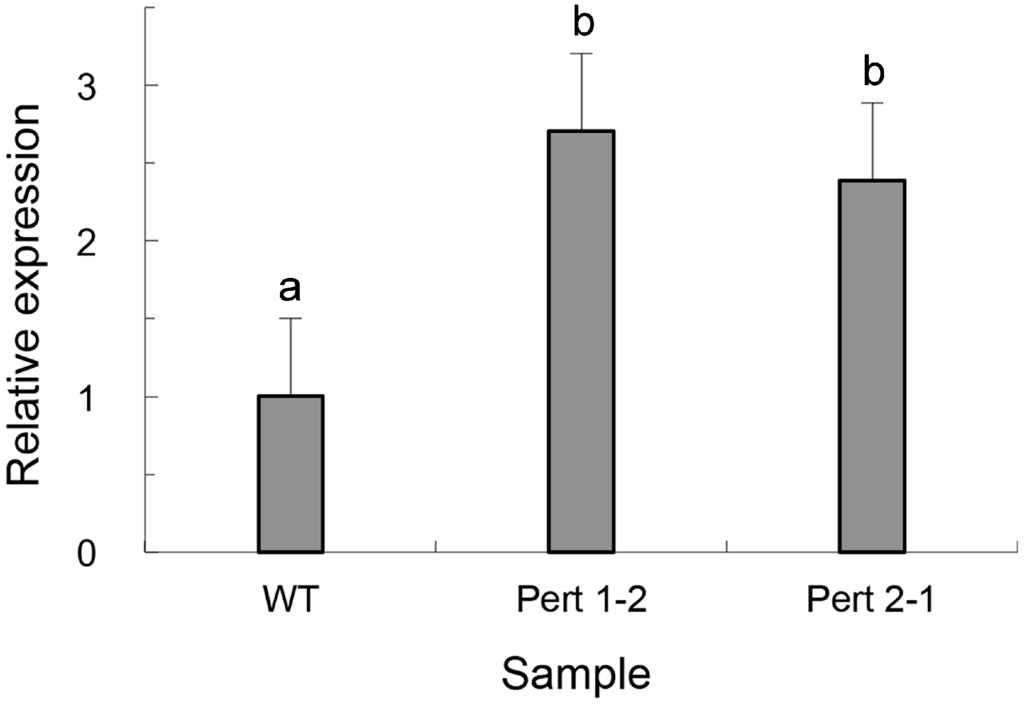 Ijms 16 05347 g004 1024