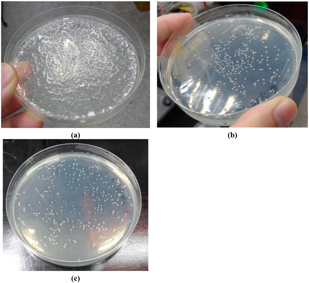 Ijms 16 05590 g002 1024