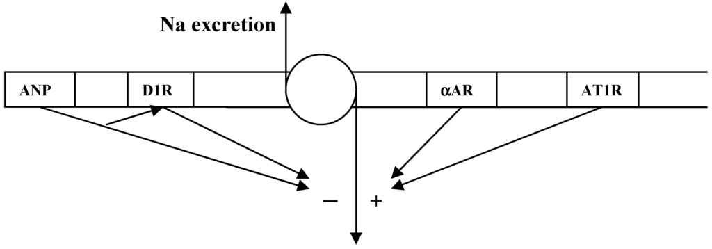 Ijms 16 05741 g002 1024