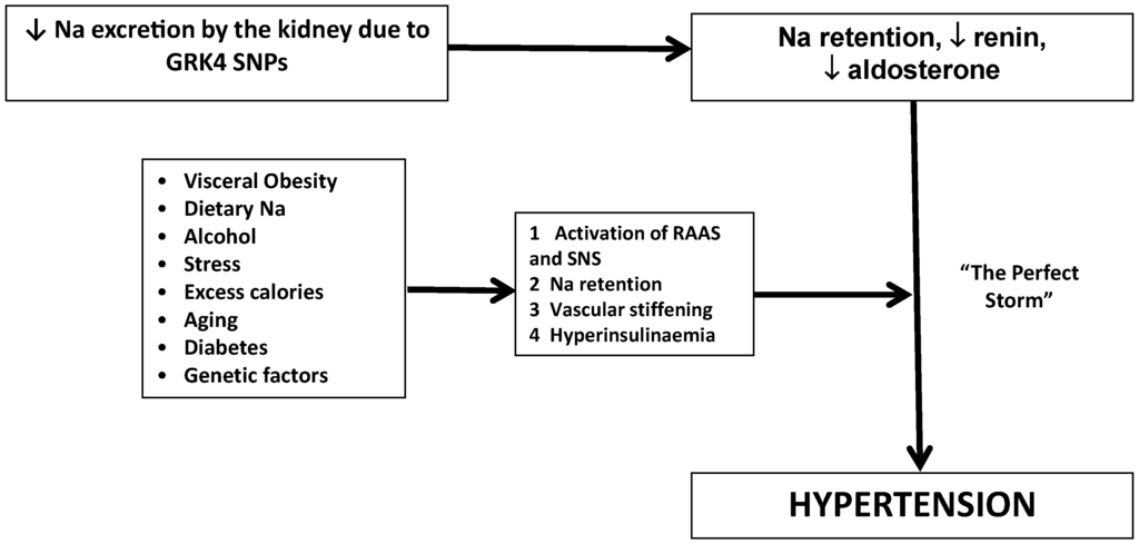 Ijms 16 05741 g003 1024