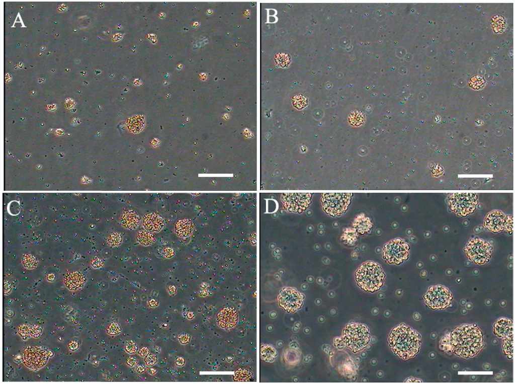 Ijms 16 05990 g001 1024