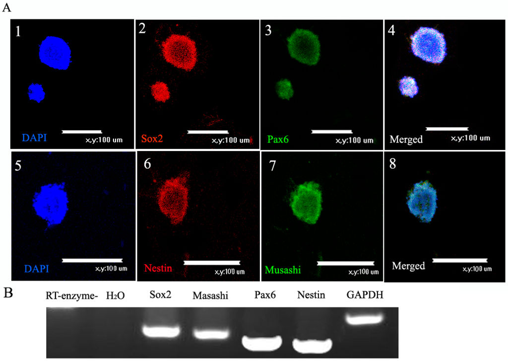Ijms 16 05990 g002 1024
