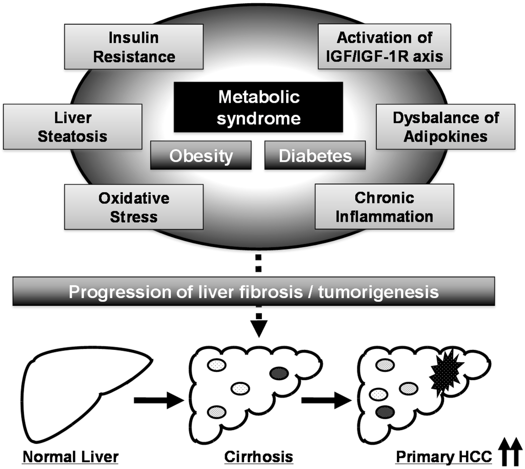 Ijms 16 06124 g001 1024