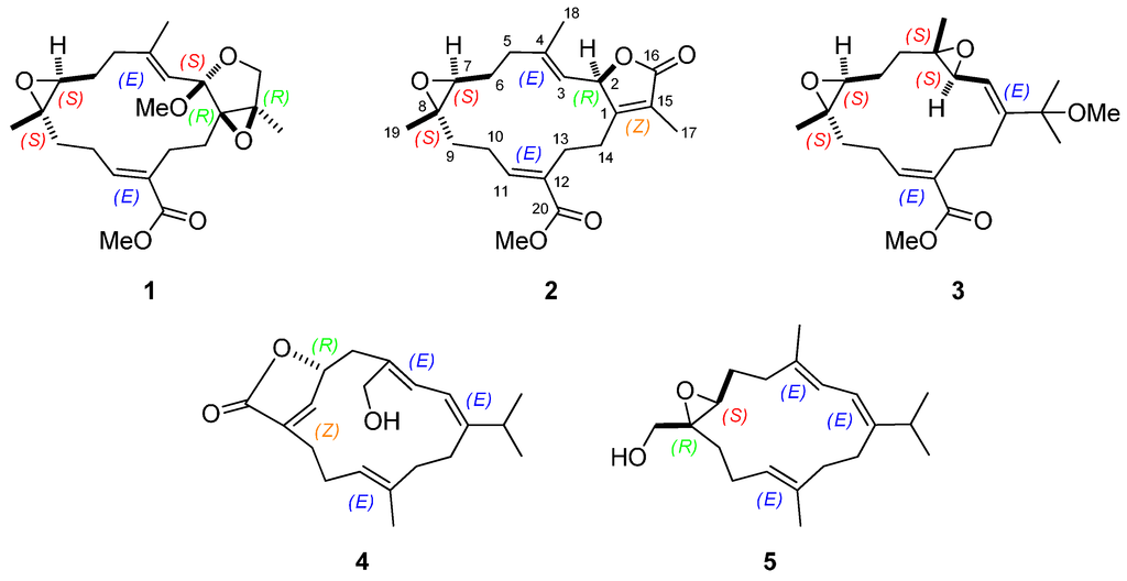 Ijms 16 06140 g001 1024