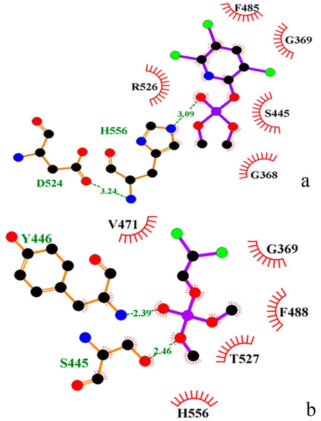 Ijms 16 06217 g005 1024