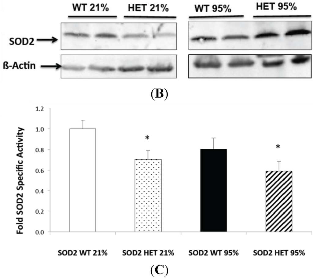 Ijms 16 06373 g002b 1024
