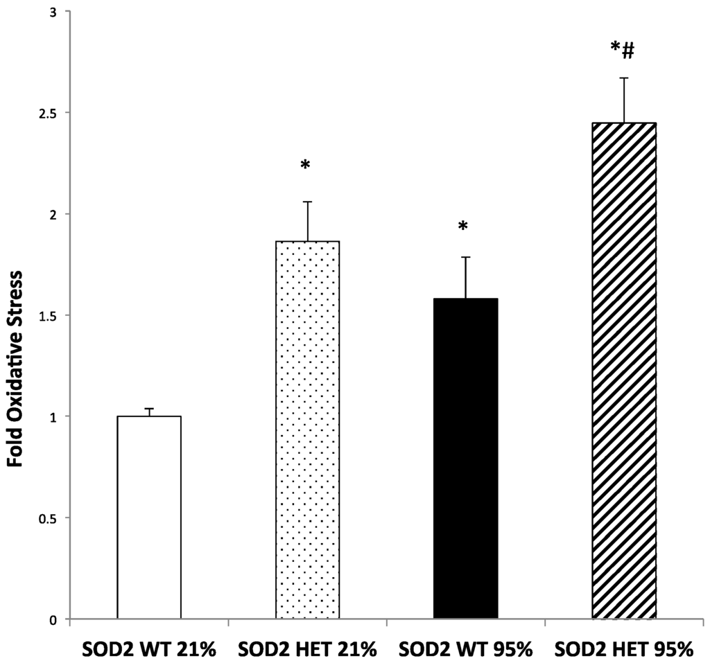 Ijms 16 06373 g003 1024