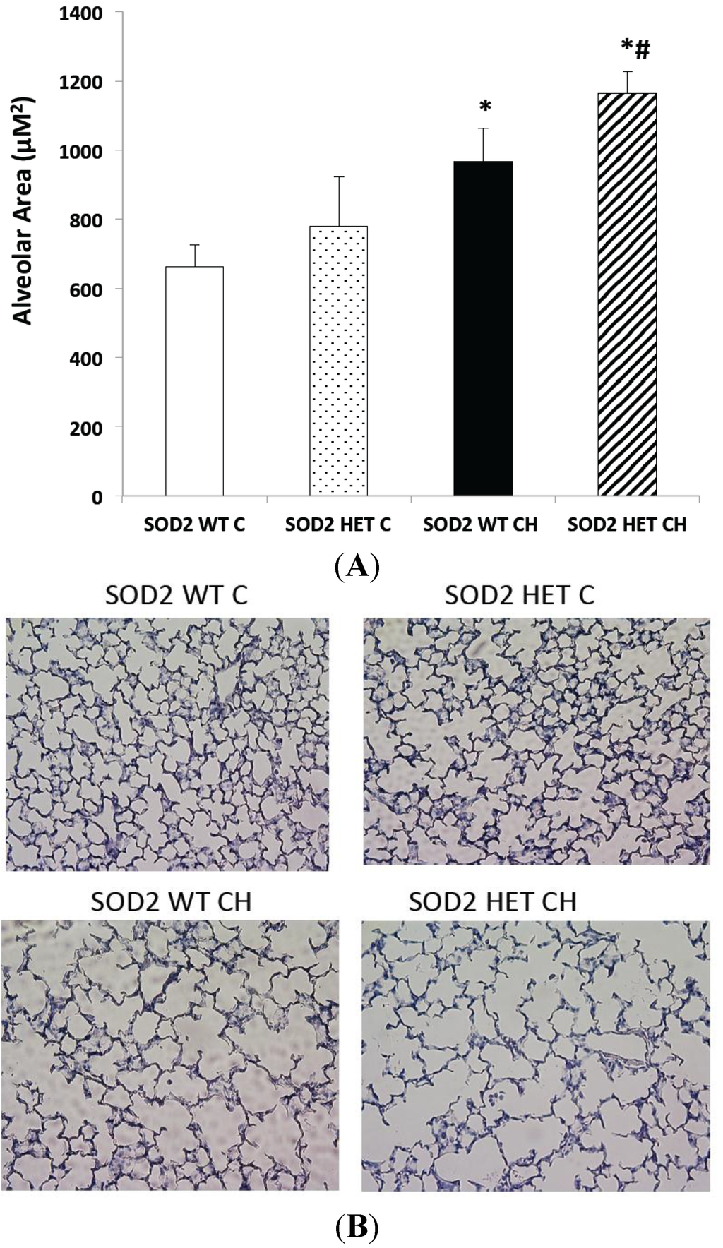Ijms 16 06373 g006 1024