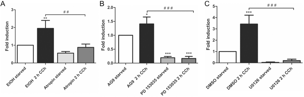 Ijms 16 06447 g003 1024