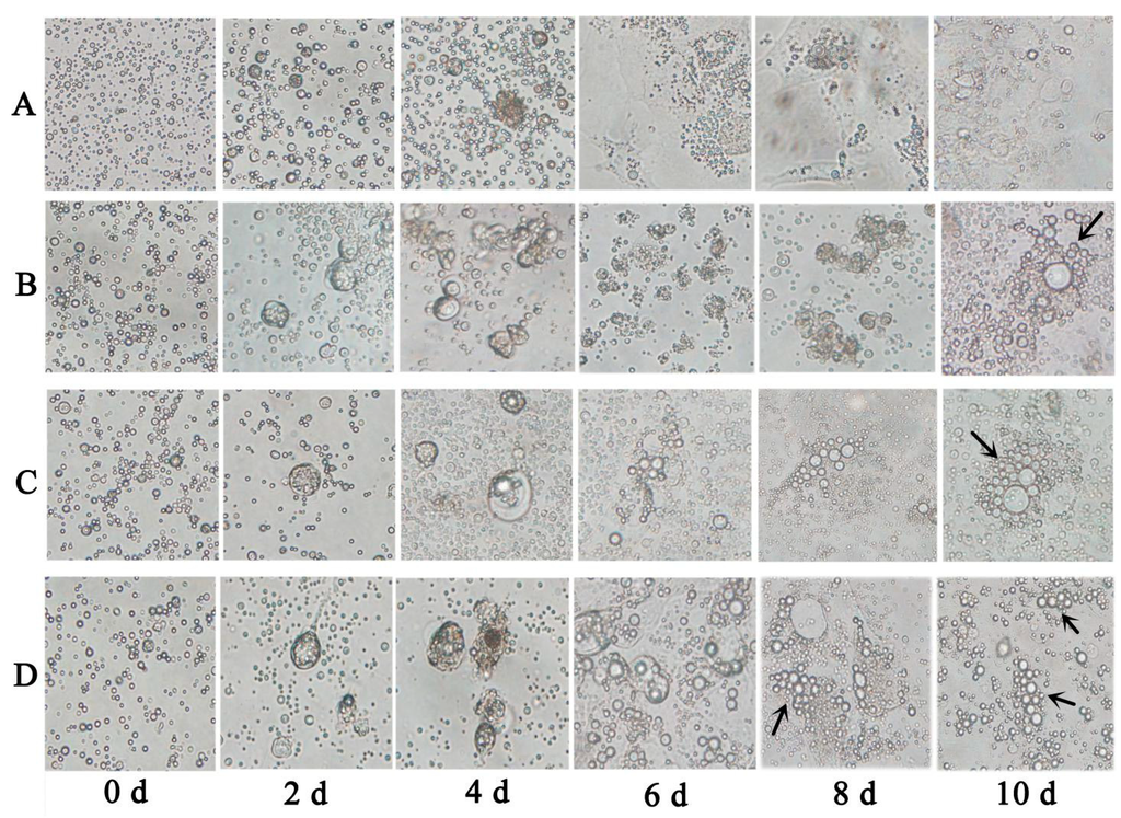 Ijms 16 06595 g002 1024