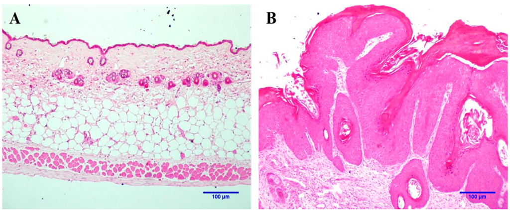 Ijms 16 06621 g001 1024