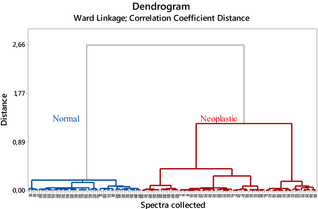 Ijms 16 06621 g004 1024