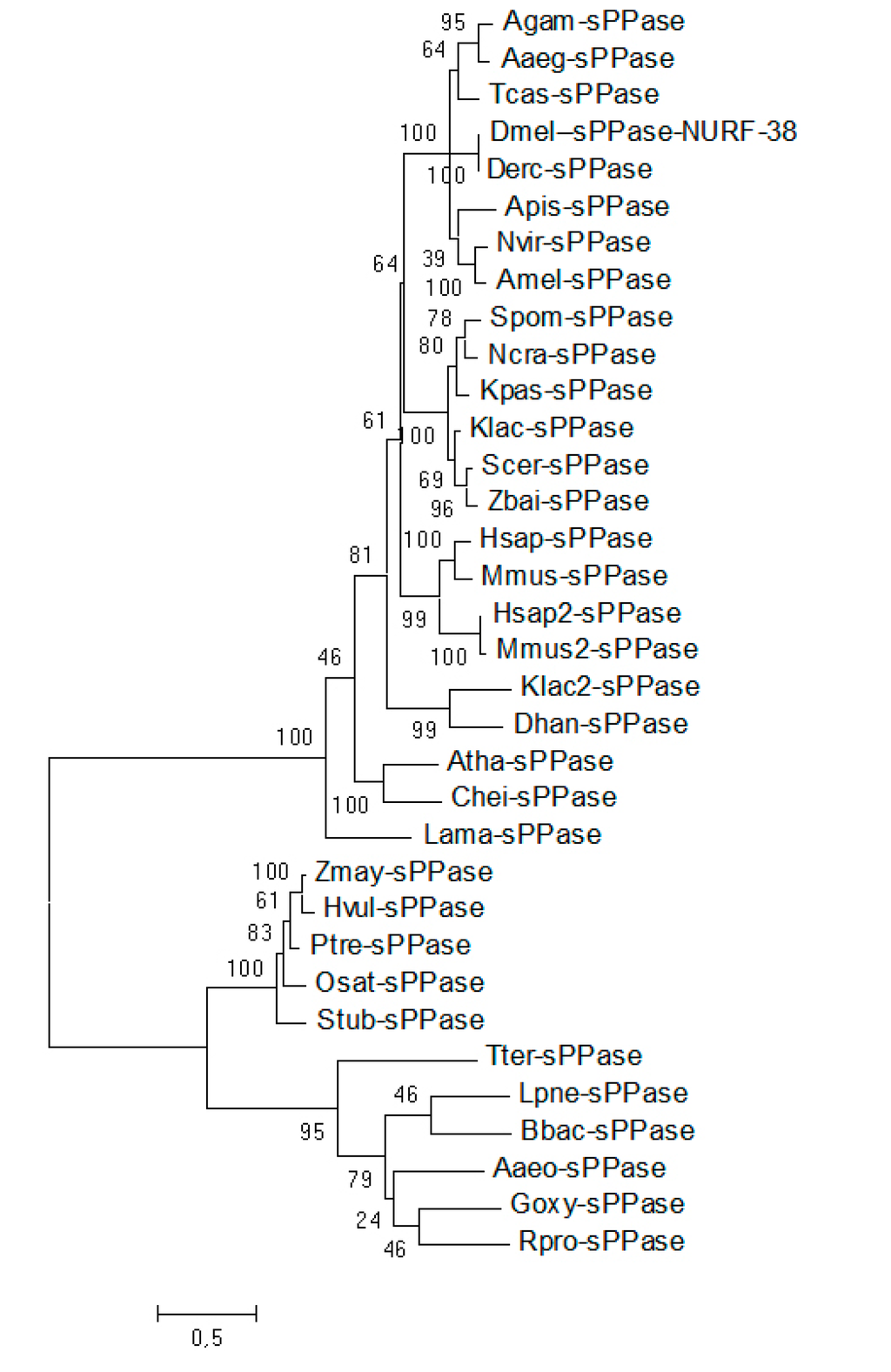 Ijms 16 06631 g001 1024