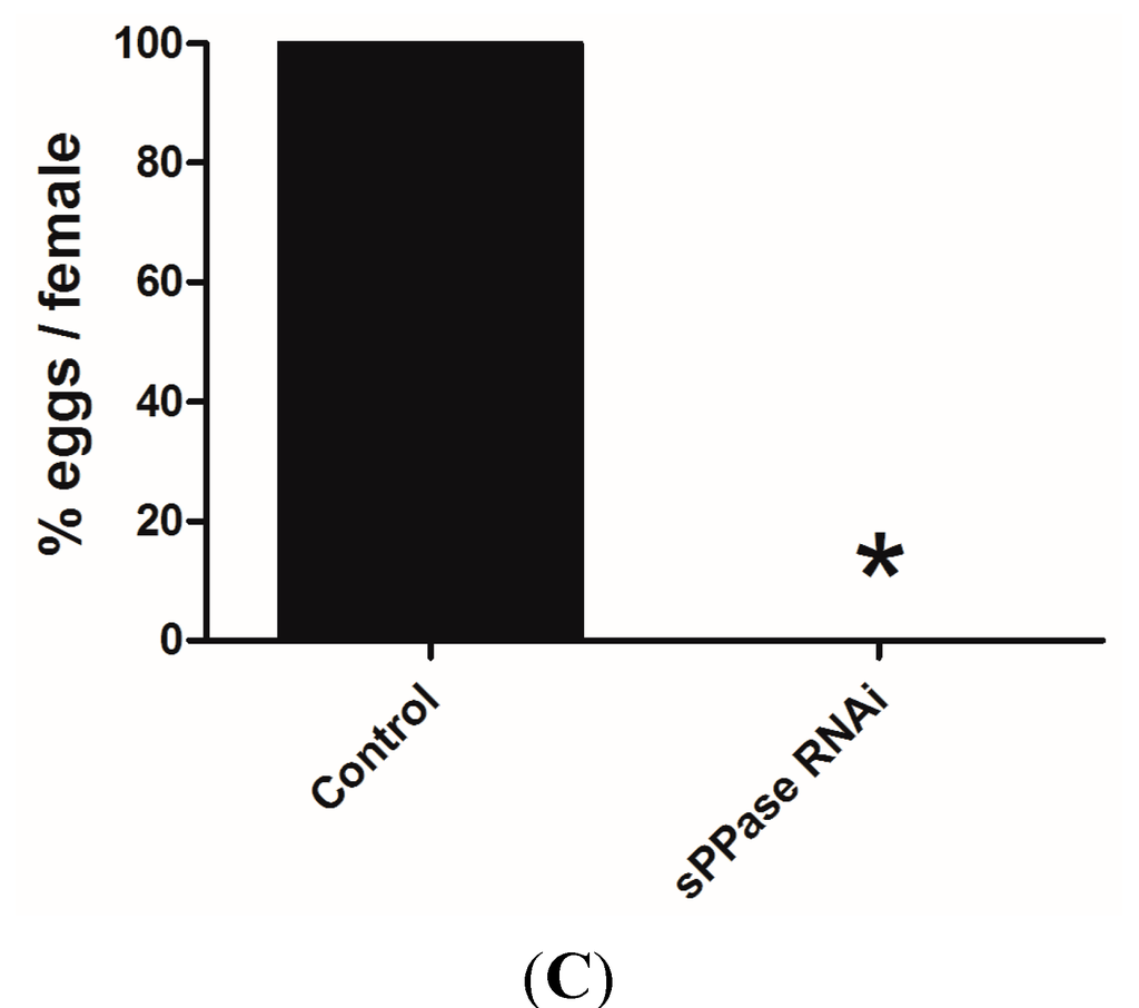 Ijms 16 06631 g003b 1024