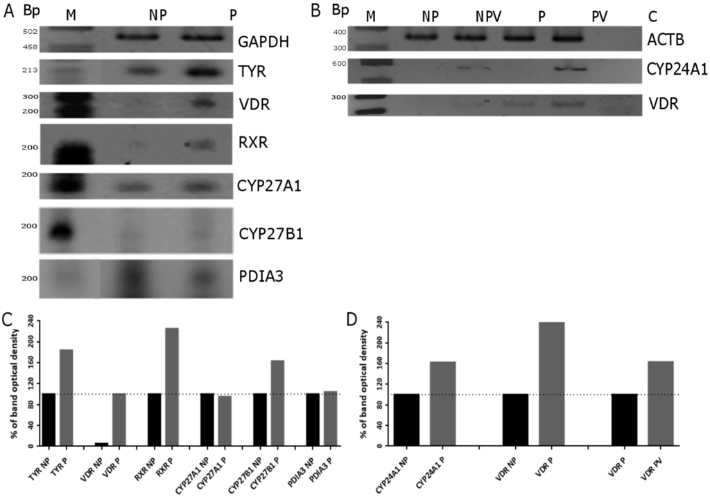Ijms 16 06645 g005 1024